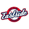  East Side Little League Youth Interlock Knit Mock Turtleneck | Eastside Little League  