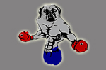  Pugilist | E-Stores by Zome  