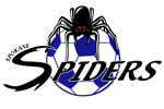  Spokane Spiders Screen-Printed Colorblock Raglan Baseball Jersey | Spokane Spiders   