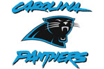  Carolina Panthers Hybrid Headcover | Carolina Panthers  