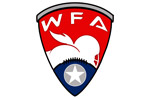  WFA Screen Printed Ladies V-Neck T-Shirt | Women's Football Alliance  