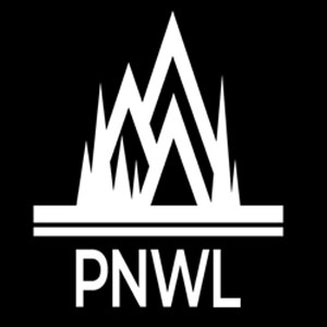 PNW-Original Logo Digital Fusion LC - ZDA-30090