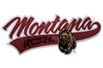  University of Montana Fleece Value Blanket with Strap | Montana Grizzlies  