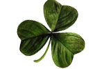  St Pattys Day Apparel | E-Stores by Zome  