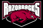  University of Arkansas 50 IMPR Tee Pack | University of Arkansas  