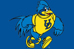  University of Delaware Basketball Mat | University of Delaware  