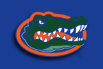  University of Florida Single Apex Headcover | University of Florida  