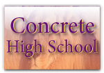  Concrete High School Pullover Hooded Sweatshirt | Concrete High School  