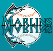  Florida Marlins 2pc Carpet Car Mats | Florida Marlins  