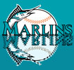  Florida Marlins Rug (4'x6') | Florida Marlins  