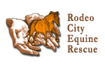  Rodeo City Equine Rescue Screen Printed 100% Cotton T-Shirt | Rodeo City Equine Rescue  