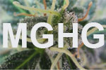  Marijuana Growers Helping Growers | E-Stores by Zome  