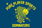  Pure Player Sports | E-Stores by Zome  