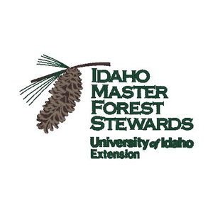 EMB-6-Forest Stewards - ZDA-25775
