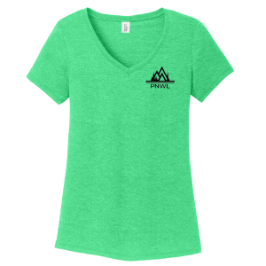 District Made Ladies Perfect Tri V-Neck Tee