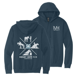 Gildan Softstyle Pullover Hooded Sweatshirt