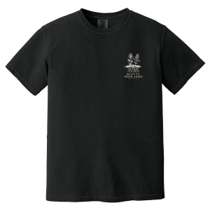 Beauty From Ashes Comfort Colors Heavyweight T-Shirt