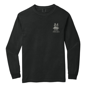 Beauty For Ashes Comfort Colors Long Sleeved Tee