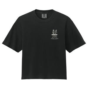 Beauty From Ashes Comfort Colors Women's Heavyweight Boxy Tee