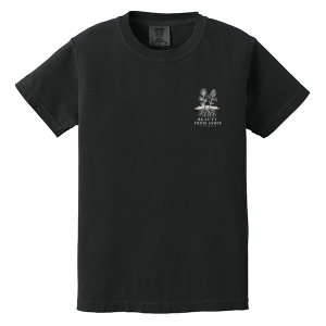 Beauty From Ashes Comfort Colors Youth Heavyweight Tee
