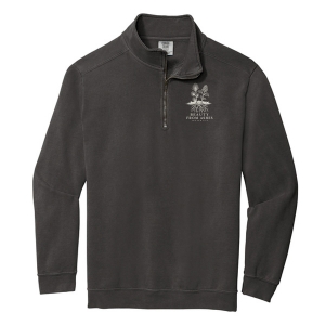Beauty From Ashes Comfort Colors 1/4-Zip Sweatshirt