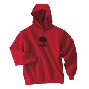 Faith Bible Church Hanes Beefy No Shrink Hood