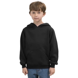 West Valley Engineering and Robotics Youth Pullover Hooded Sweatshirt - Screen-Printed
