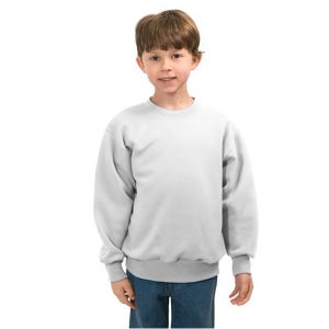 5 Mile Prairie School Screen Printed Youth Crewneck Sweatshirt