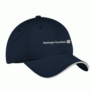 Port Authority Dry Zone Cap