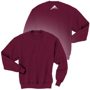 Colorado Technical University Embroidered Crewneck Sweatshirt