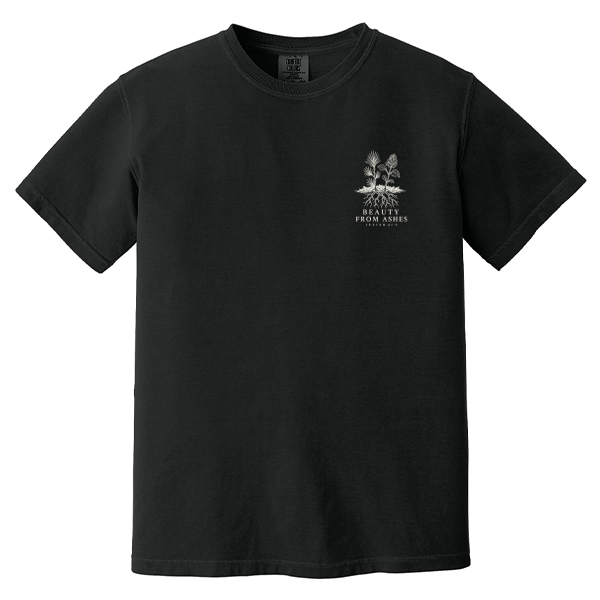 Beauty From Ashes Comfort Colors Heavyweight T-Shirt