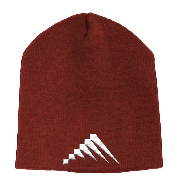 Colorado Technical University Alumni 8 Inch Knit Hat